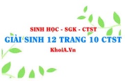 Giải Sinh 12 trang 10 Chân trời Sáng tạo